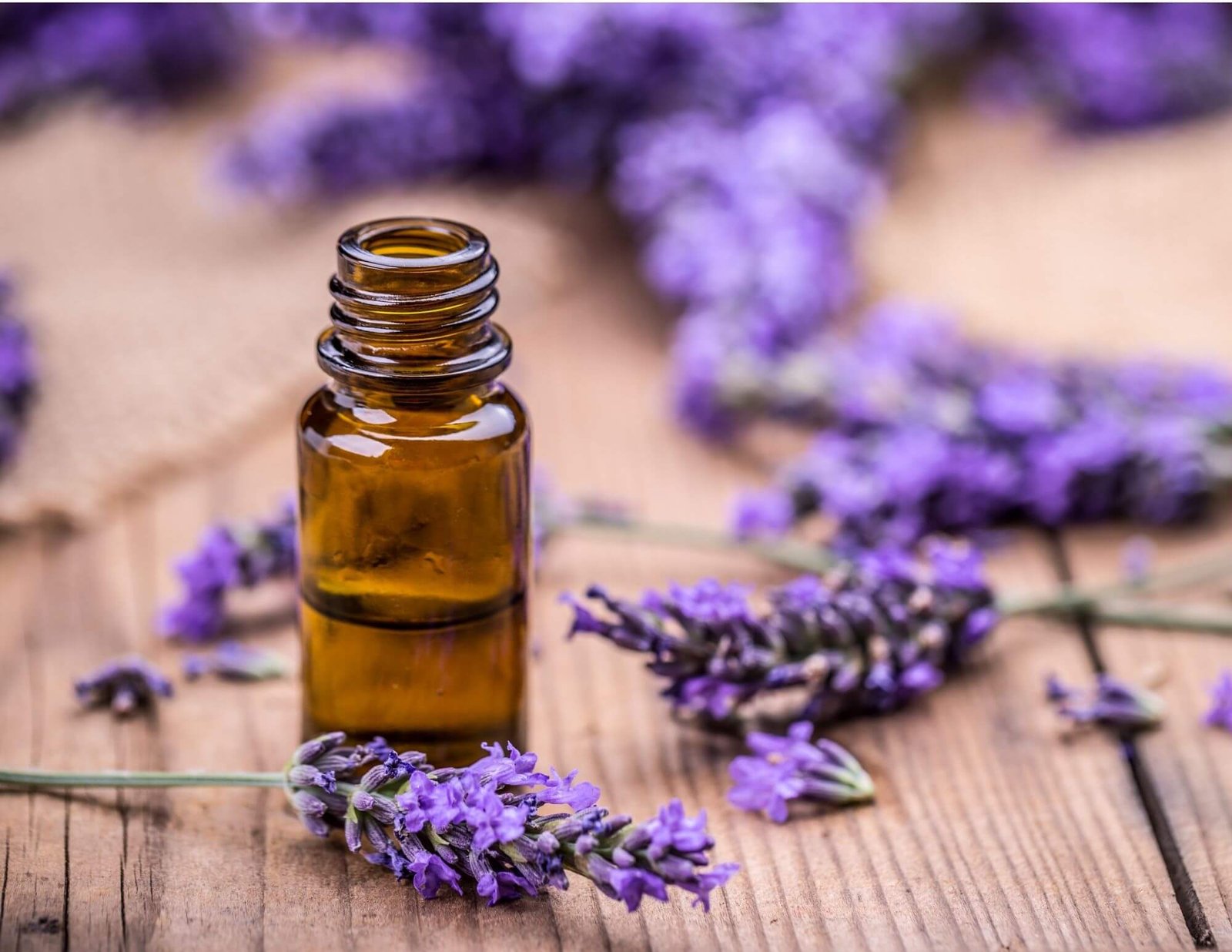 Lavender Oil